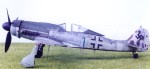 fw190d9blu1psweb